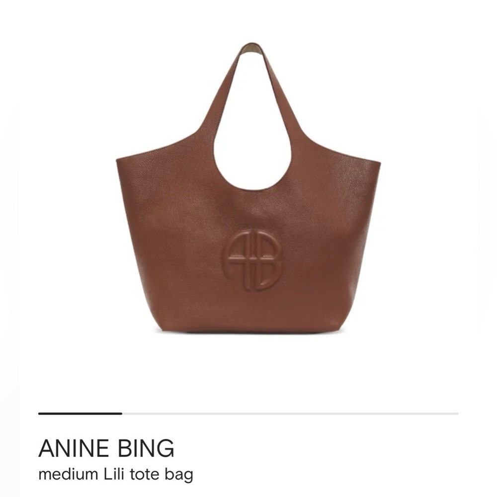 Anine Bing Medium Lili Tote, Brown Pebbled